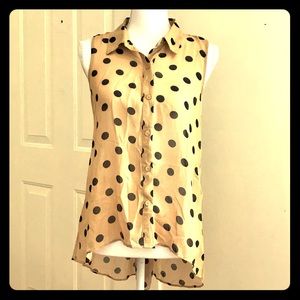 Sans Souci sleeveless sheer blouse